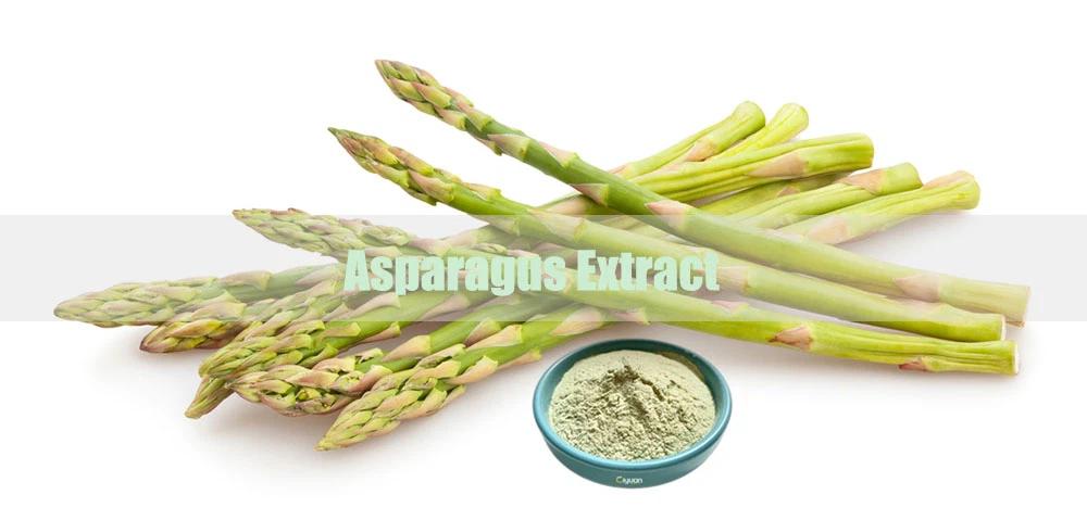 Asparagus Extract.png